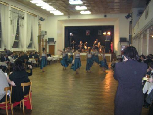 II.Reprezentační ples Mikroregionu Lounské Podlesí 14.2.2009
